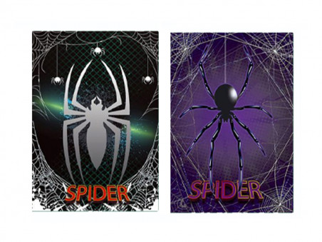 CADERNO BROCHURAO 96F.X-SPIDER CD.