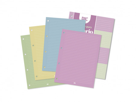 CADERNO FICHARIO  48F.COLOR.PAUT.90G.